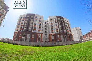 WhatsApp-Image-2024-05-13-at-11.28.24-3