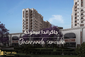 جاكراندا سموحة Jacaranda Semouha